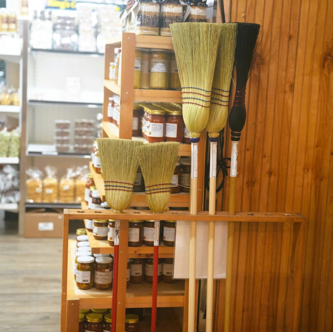 Ensemble de brosses à récurer en bois de hêtre à poils naturels